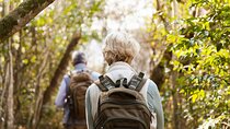 Private Tour: Orjen Mt. Hiking with Food Tasting in a Stone Village