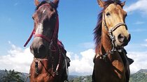 Horseride, Coffee Tour & Willys Ride and Salento