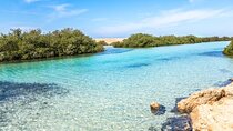 Ras Mohammed & White Island Snorkeling Tour by boat from Sharm El Sheikh
