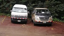 Transfer to Monteverde Reserve & Curicancha Reserve 