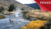 Yellowstone & Grand Teton National Parks: Small Group 6-Day Tour