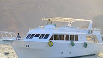 Daily Boat Trips at Sharm EL Sheikh 