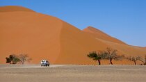  1 Night All inclusive Camel Ride & Desert Camp