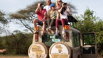 4 Days Tanzania Group Joining Safari with Mid-range Accommodation