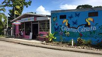 Private Transfer From San Jose City To Cahuita Costa Rica