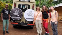 Materuni Waterfalls & Coffee Tour