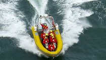 San Francisco Bay Adventure Sightseeing Cruise