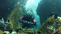 Rio's Best Dive Experience All Inclusive Scuba Diving Package!