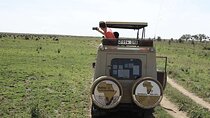 3-Day Tanzania Group Safari-Tarangire, Ngorongoro & Lake Manyara