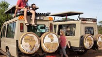 Unforgettable 4 Days Tanzania Private Budget Safari Tour 