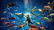 3-Hour The Lost Chambers Aquarium Tickets with Pick and Drop Off