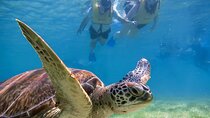 Tulum Ruins, Turtle Sighting and Underground Caves