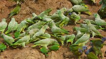 3 Days Tour in Manu Amazon