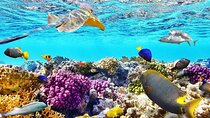 Orange Bay trip from El Gouna, Hurghada