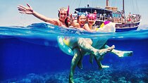 Fernandes Cruise to Blue Lagoon in Comino and Gozo