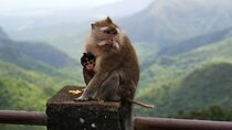 Mauritius Guided South Tour (Private)