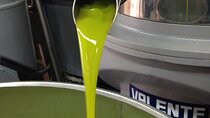 Olive Oil Private Full-Day Tour with Tasting in Valencia