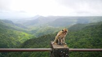 Mauritius Guided South Tour (Private)