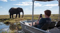 Chobe Day Trip