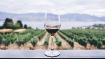 Private Nafplio Tour and Wine Tasting from Athens with Pick Up and Drop Off