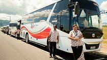 100% CFC APPROVED -Shared Shuttle Transfer - Hotel to Nadi Airport
