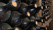 Fun wine tasting from our unique selection in the heart of Florence