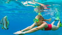 Relax Boat Trip & Swimming Tour From Alanya