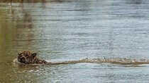 5-Day Manu Expedition .