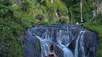 Santa Rosa de Cabal and Hot Springs Day Trip