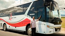  Shared Shuttle Arrival Transfer - Nadi Airport/ Port to Hotel