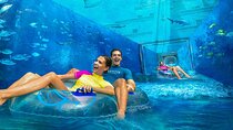 Atlantis Aquaventure And Lost Cambers Aquarium with Transfer