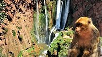 Ouzoud Falls Private Day Trip from Marrakech ( All inclusive )