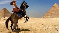 Private Tour to Giza Pyramids, The Sphinx and Cairo Museum 