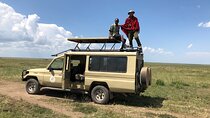 4-Day Safari in Arusha with Pick Up