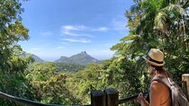 Tijuca Forest Hike - Waterfalls & Caves, Nature & Wild Life!
