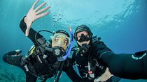 Guided diving for beginners without certification from Sorrento