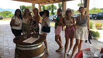 Pompeii, Herculaneum & Wine Tour, with Licensed Guide included