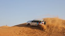 Dubai Morning Safari Adventure