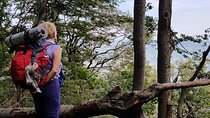 Full-Day Private Hike in Foreste Casentinesi National Park