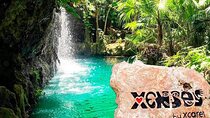 Xenses Park: Fantastic Scenarios