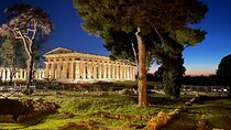 Tour of the archaeological excavations of Paestum with lunch at the dairy