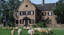 Middleton Plantation-3 hour guided tour- hotel pickup-admission