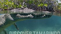 Tamarindo Estuary Tour