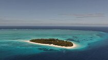 Mnemba Island Snorkeling; Jozani Forest Tour; Kuza Cave; Paje Beach; The Rock