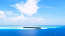 Zanzibar Mnemba Island Tour; Prison Island; Jozani Forest; The Rock Restaurant