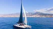 Tenerife Whales and Dolphins Watching Experience in Catamaran