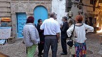 Essaouira day trip from Agadir & Taghazout