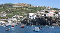 Living Sea Boat Trip in Madeira from Funchal