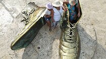 Photo and Video from Drone