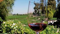 Concha y Toro Vineyard Tour From Santiago
